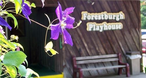 Forestburgh Playhouse and Tavern