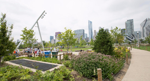 Maggie Daley Park | Chicago, IL - visitorfun.com