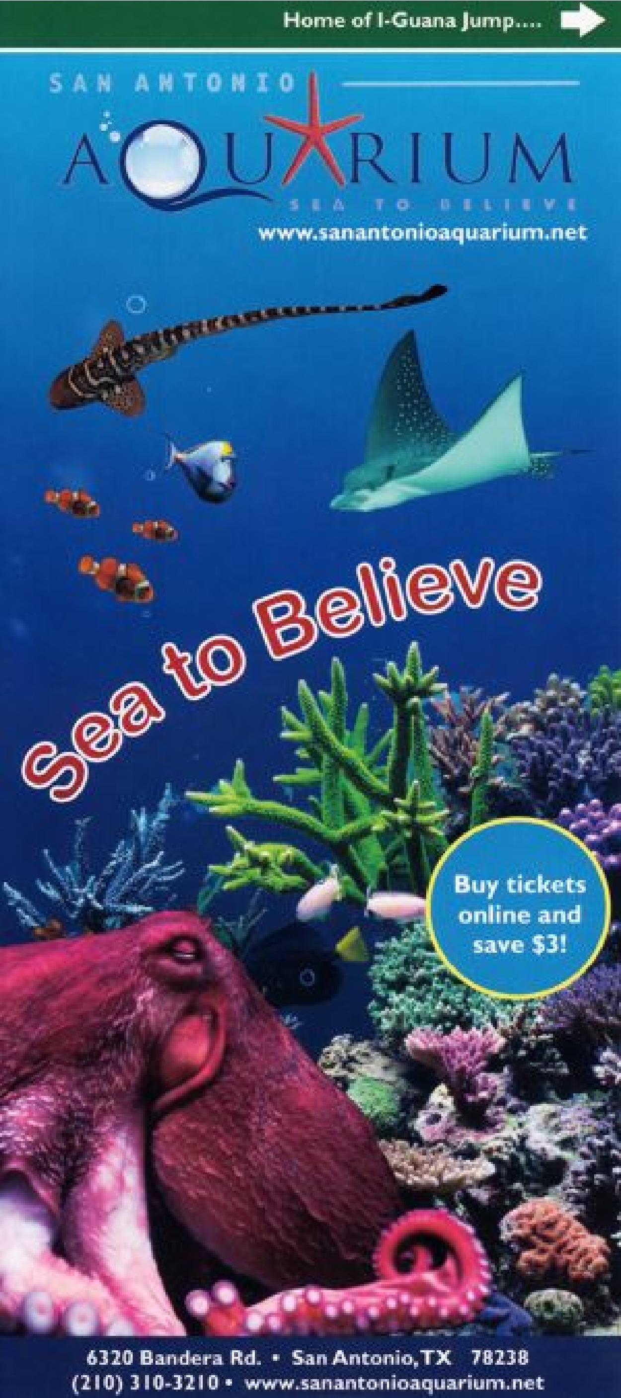 San Antonio Aquarium - Brochure 2169 00