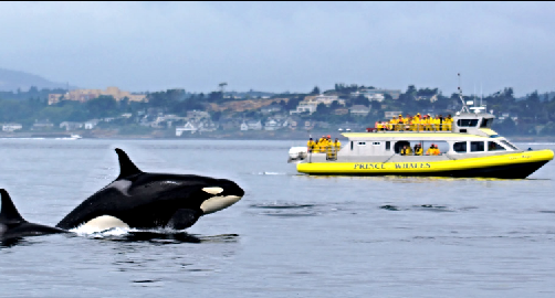 Prince of Whales | Victoria, BC - visitorfun.com