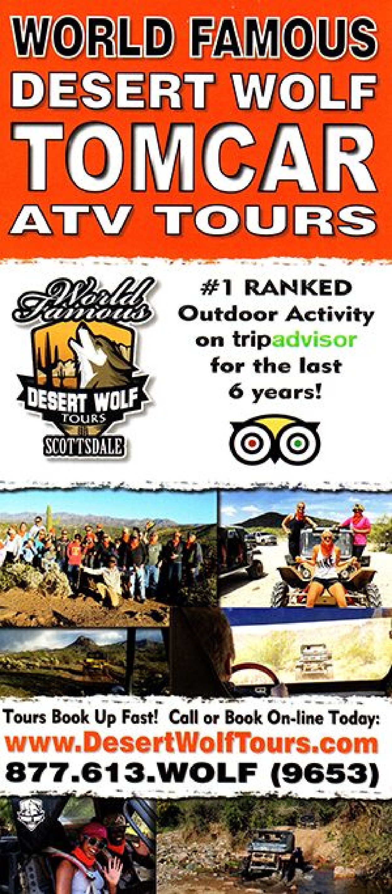 desert wolf tours az
