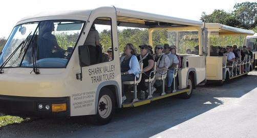 Shark Valley Tram Tours
