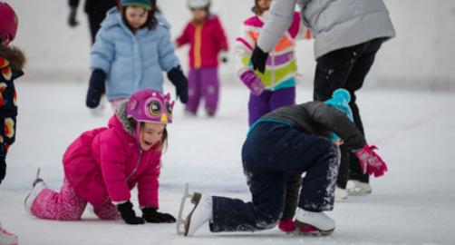 South Park Ice Rink | Bethel Park, PA - visitorfun.com