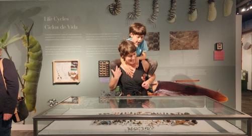 North Museum of Nature & Science