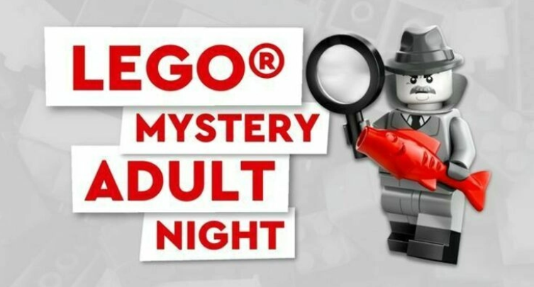 Lego Mystery Adult Night