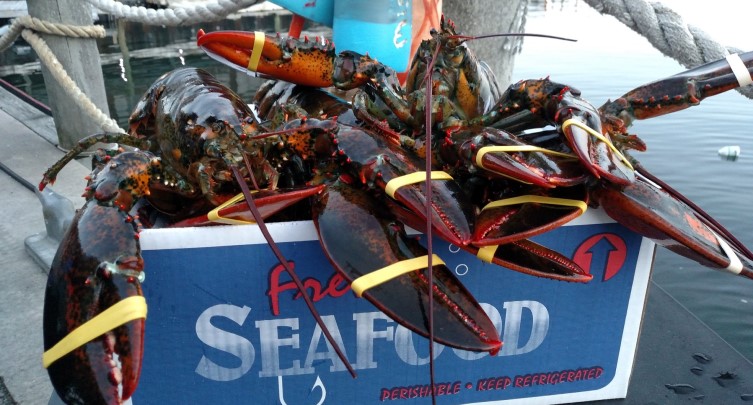 The Newport Lobster Shack