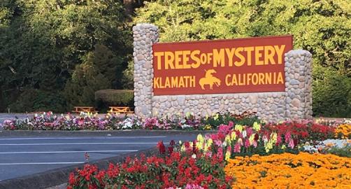 Trees of Mystery
