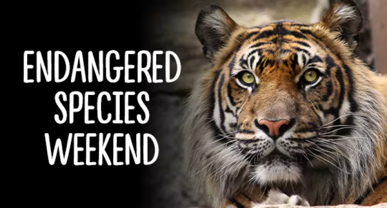 Endangered Species Weekend