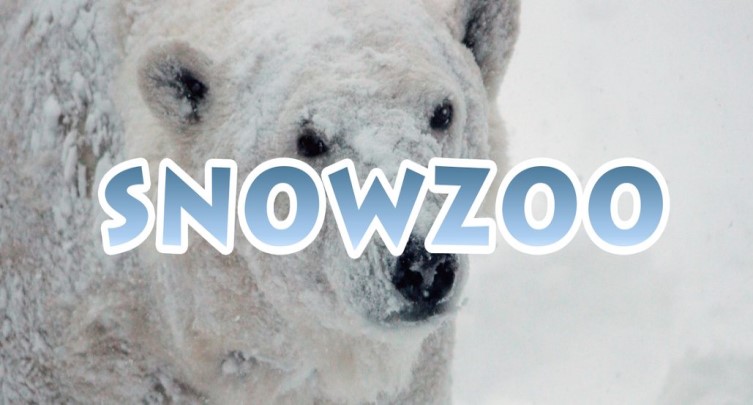 Snow Zoo/Arctic Sea Ice Day