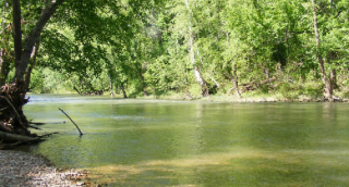 Niangua River Oasis Canoe Rental And Campground Lebanon Mo