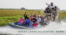 Everglades Alligator Farm