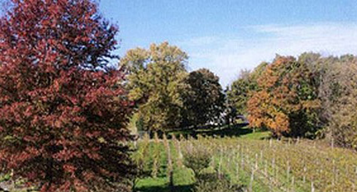West Hanover Winery