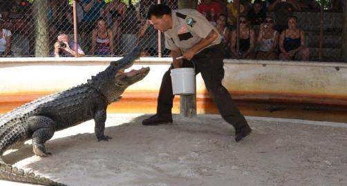 everglades safari park