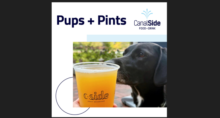 Pups + Pints at CambridgeSide