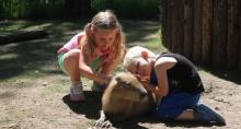 African Safari Wildlife Park