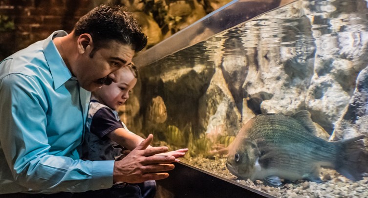 Father’s Day Weekend @CLEAquarium 
