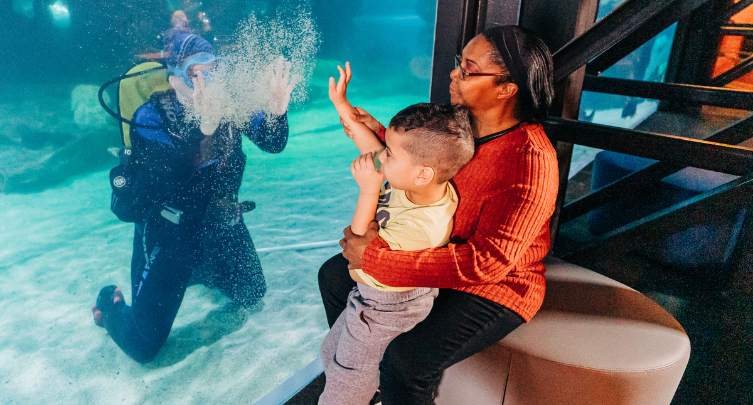 Greater Cleveland Aquarium Sensory Hour