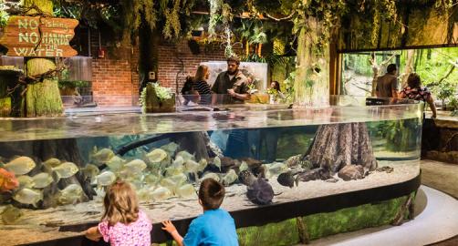 Greater Cleveland Aquarium | Cleveland, OH - visitorfun.com